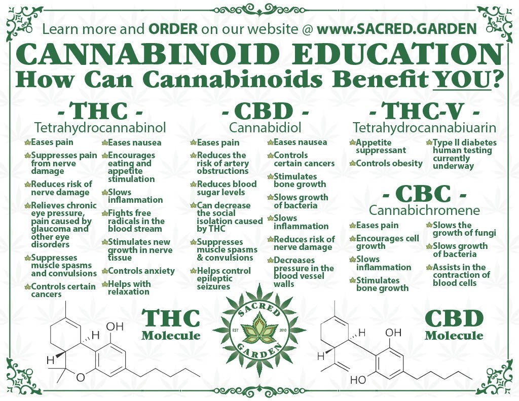 How Can Cannabinoids Benefit You